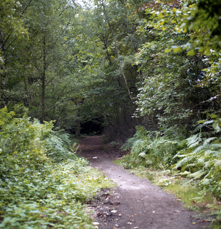Path