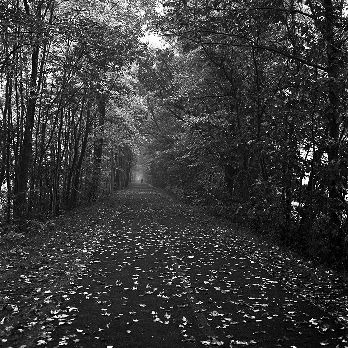 path