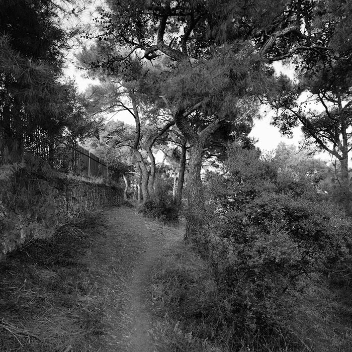Path