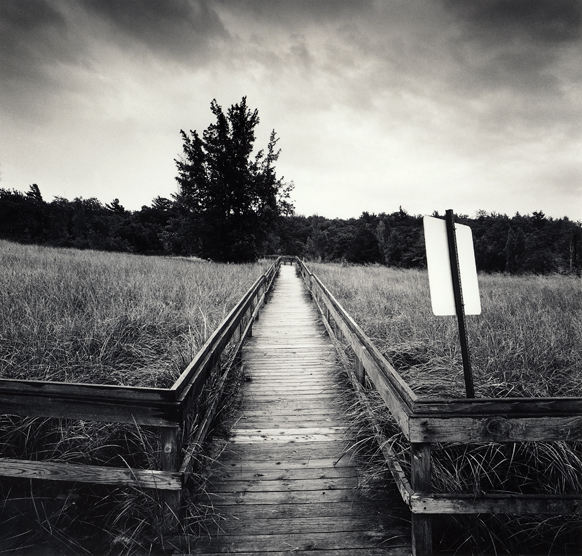 Pathway to Beach