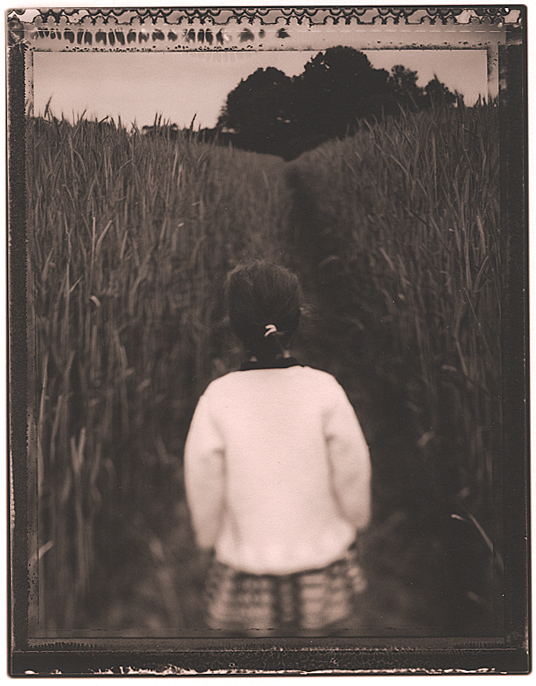 Pathways; Freyha (Copper)