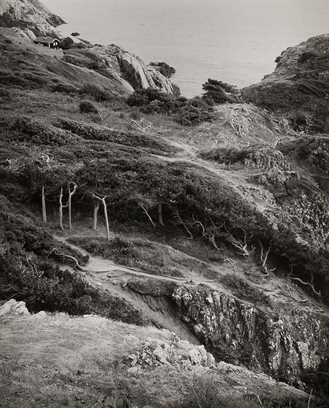 Pathways