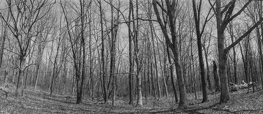 Patk Pano 2
