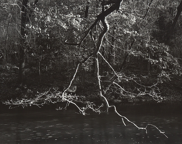 Pat's Branch - Neshannock Creek