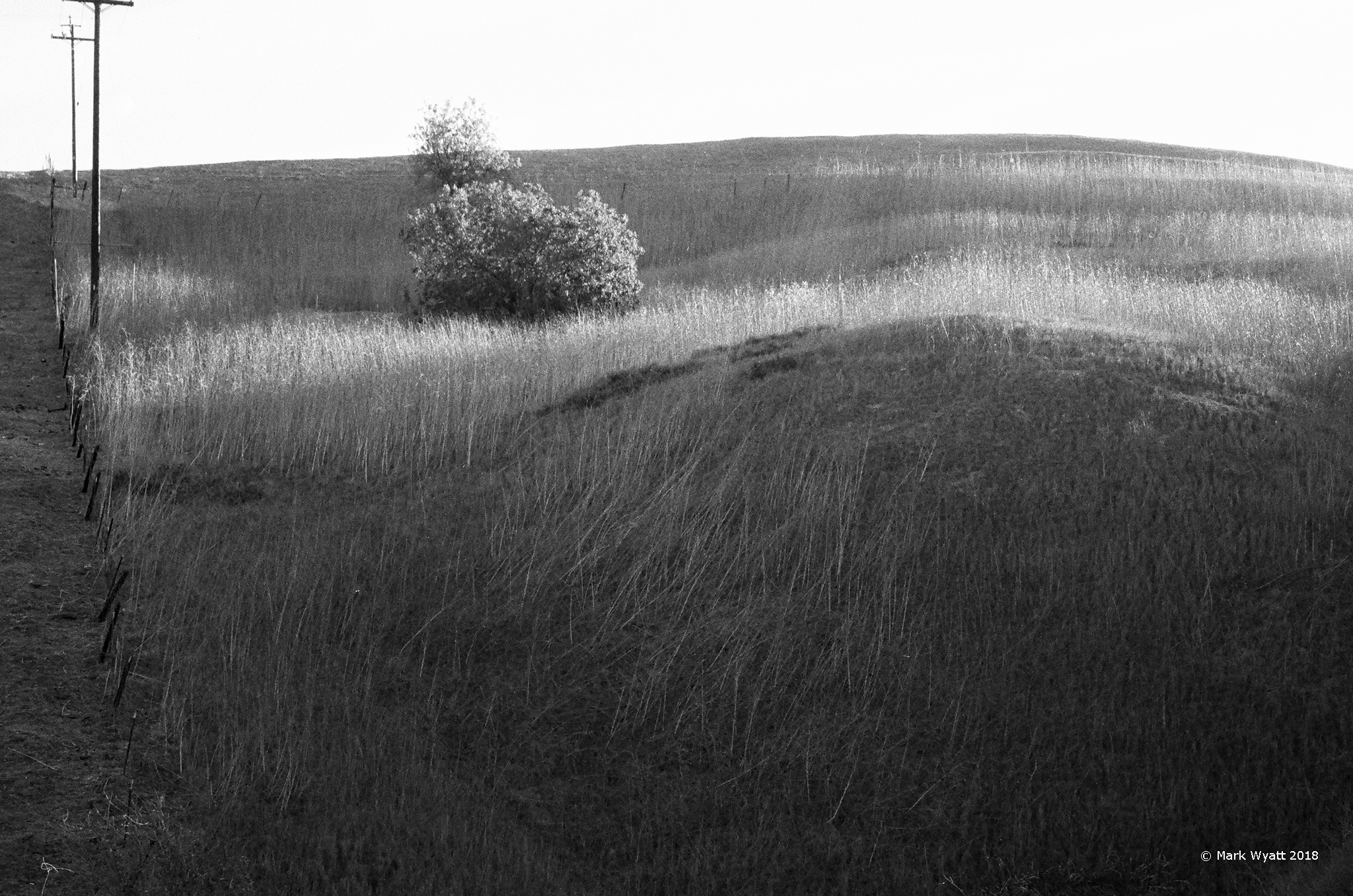 Patterns in Brush