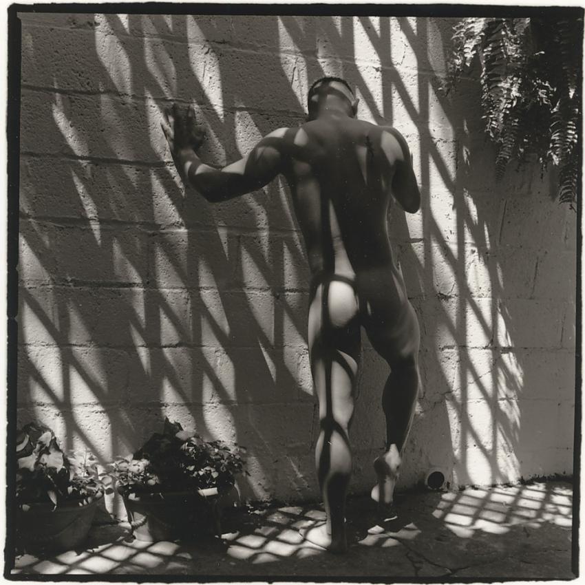 Paul, Patio