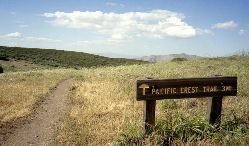 PCT