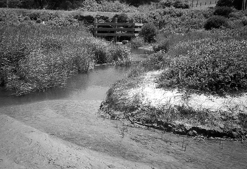 Peaceful &quot;Crick&quot;