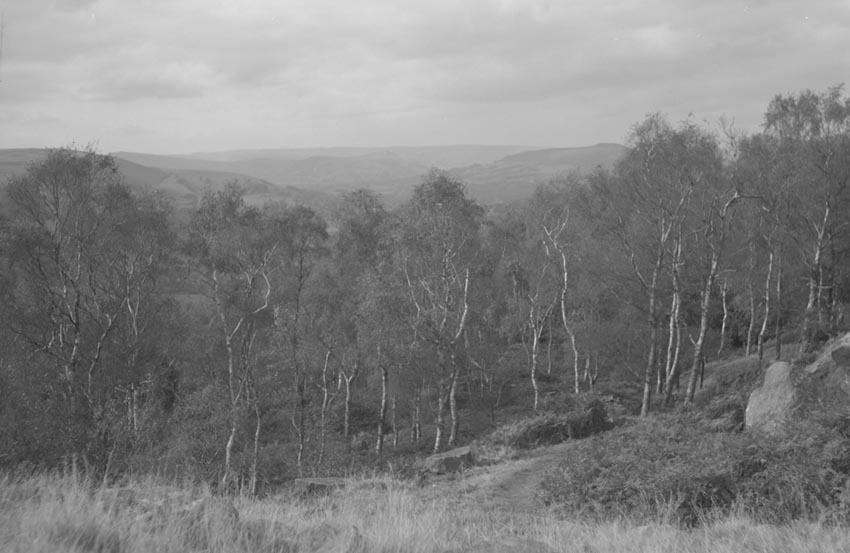 Peak District view
