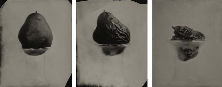 Pear Trilogy