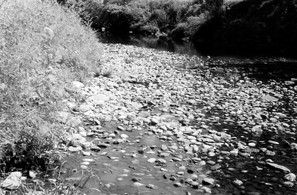 Pebbles