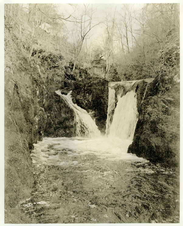 pecca twin falls