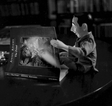 Pee Wee studies Ansel