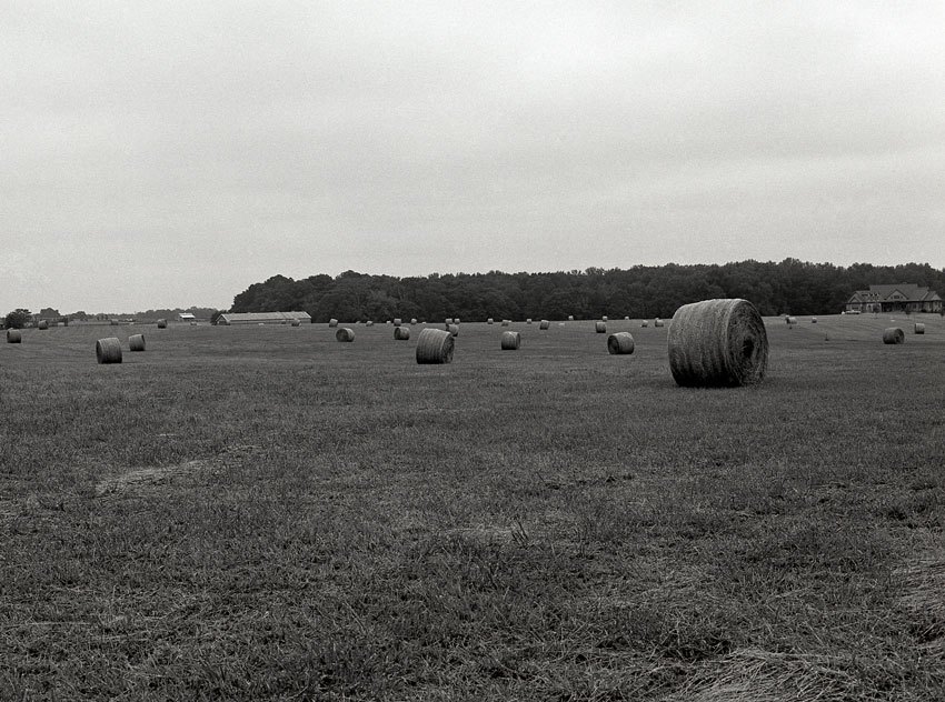 Pegesis-farm2 850x632