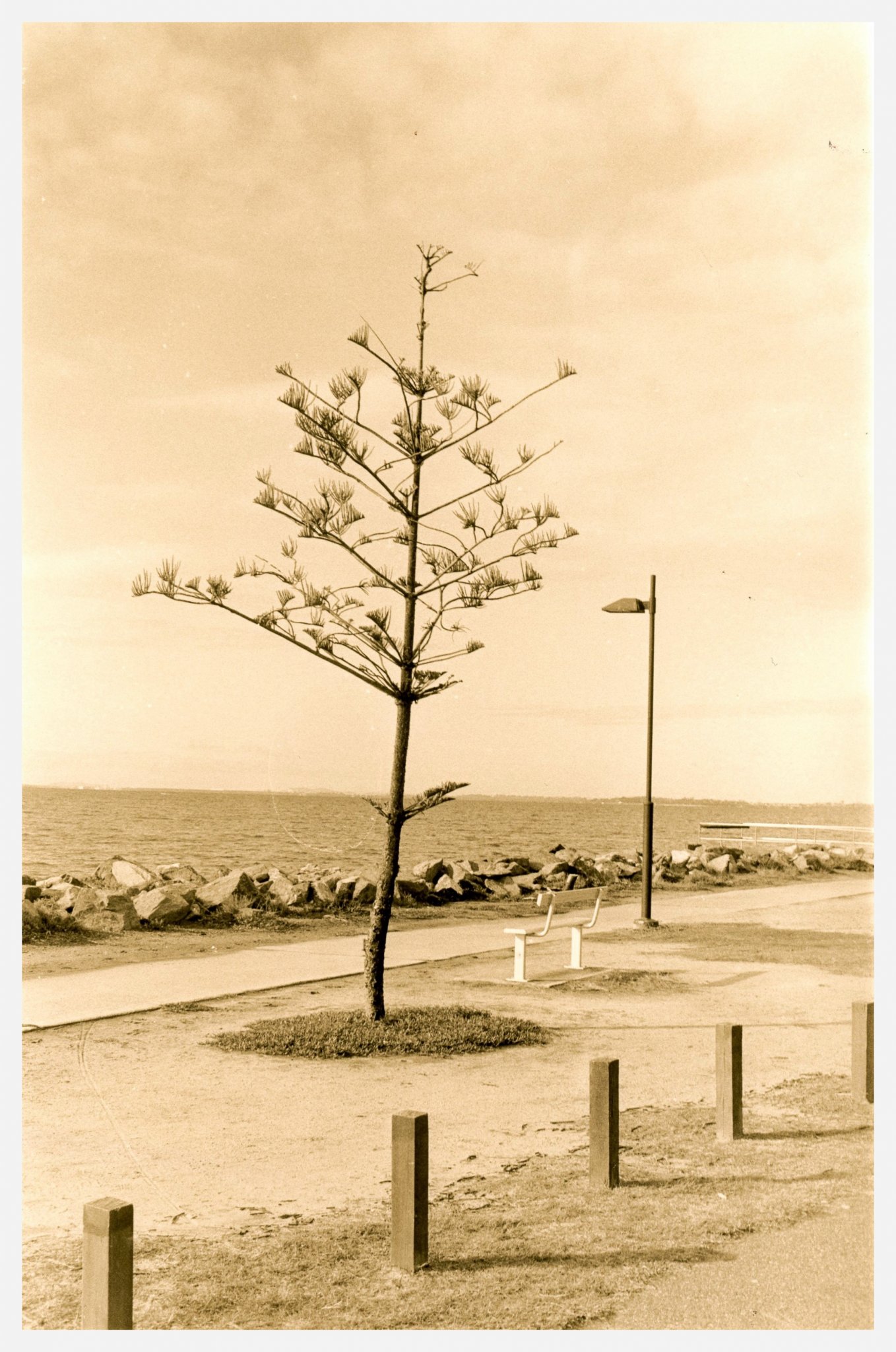 Pelican Point