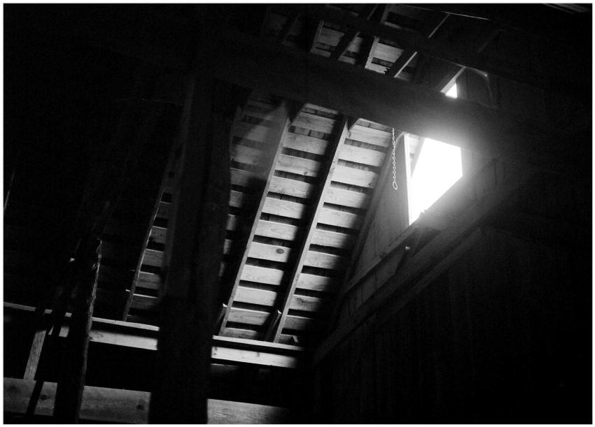 Penn Farm7
