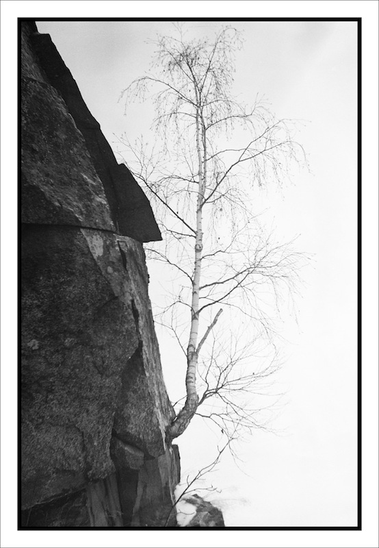 Perilous existence #2