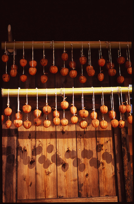 Persimmons