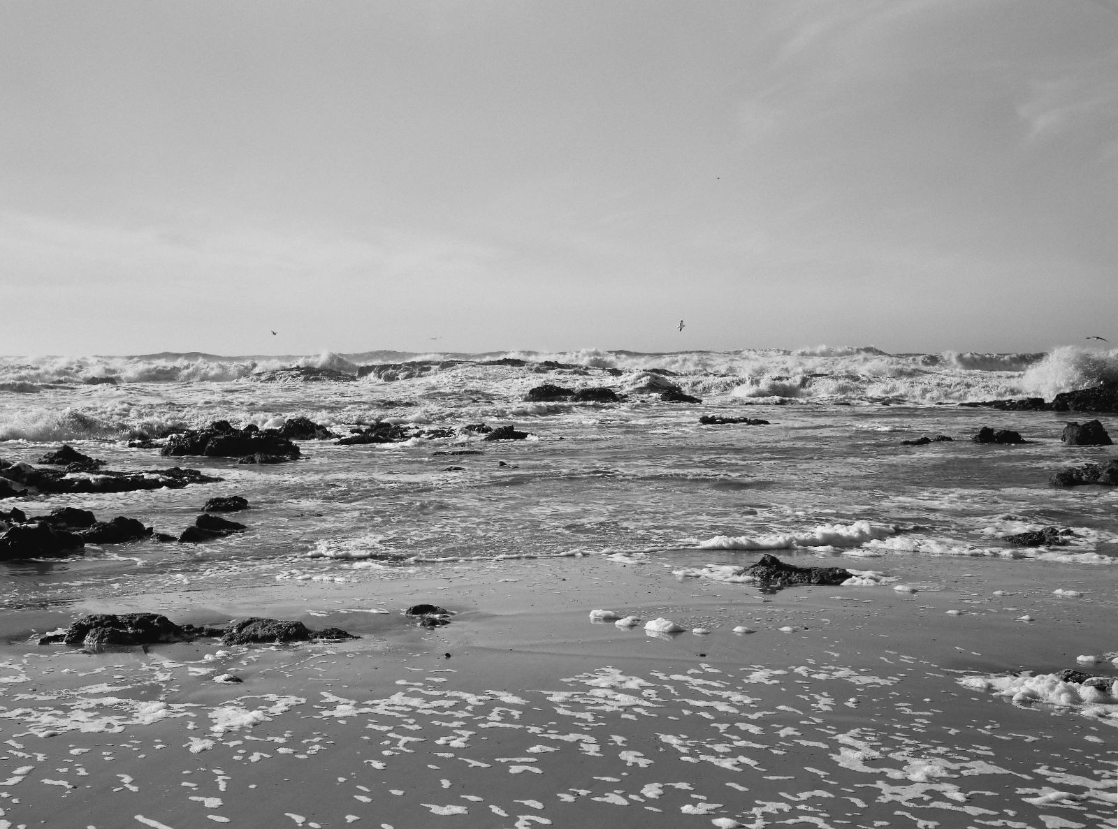 Pescadero State Beach