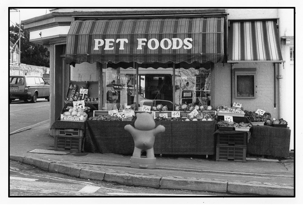 PET FOODS