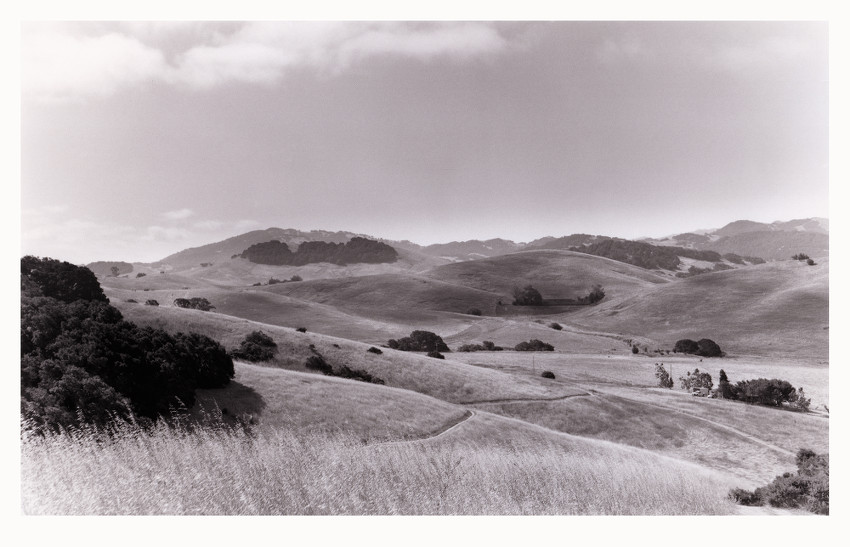 Petaluma Hills