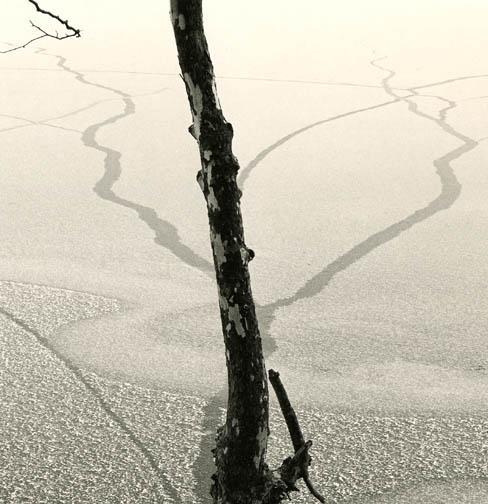 Phantom Limbs, Eagle Creek