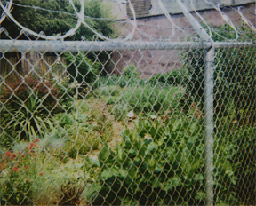 Philadelphia, 2007