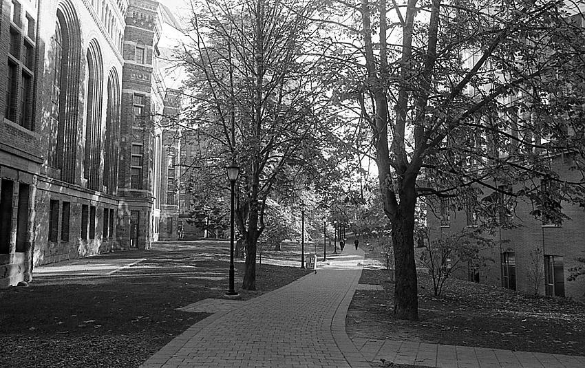 Philospopher's Walk