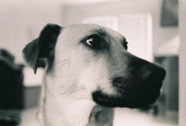 Photogenic?