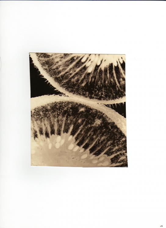 Photogram