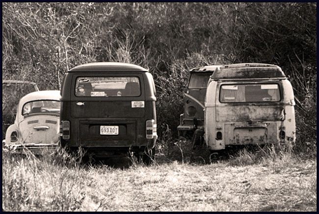 Photos taken on December 25, 2005.  VW Buses out to pasteur???