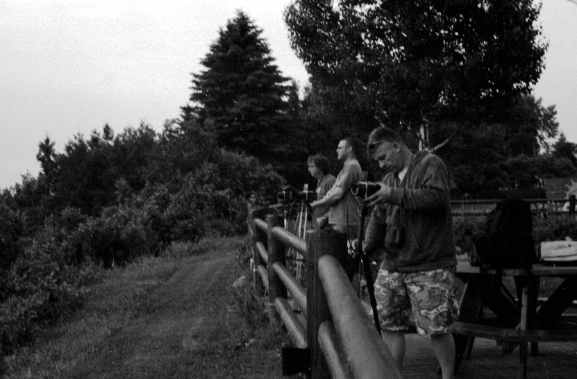 Photostock 2011 - 32