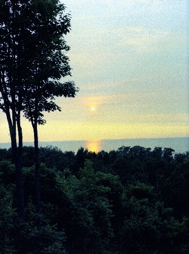 Photostock 2011 - 50