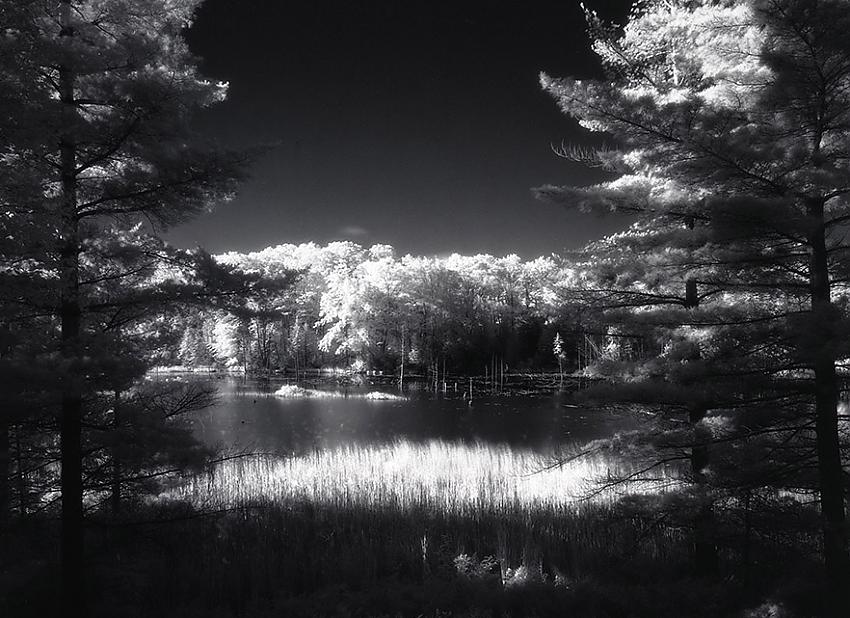 Photostock 2012 - O'Neil IR #2