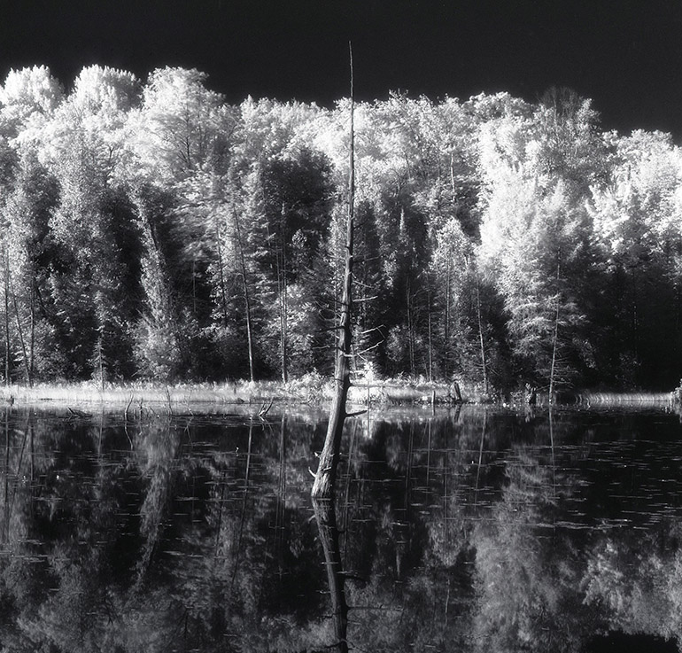 Photostock 2012 - O'Neil IR