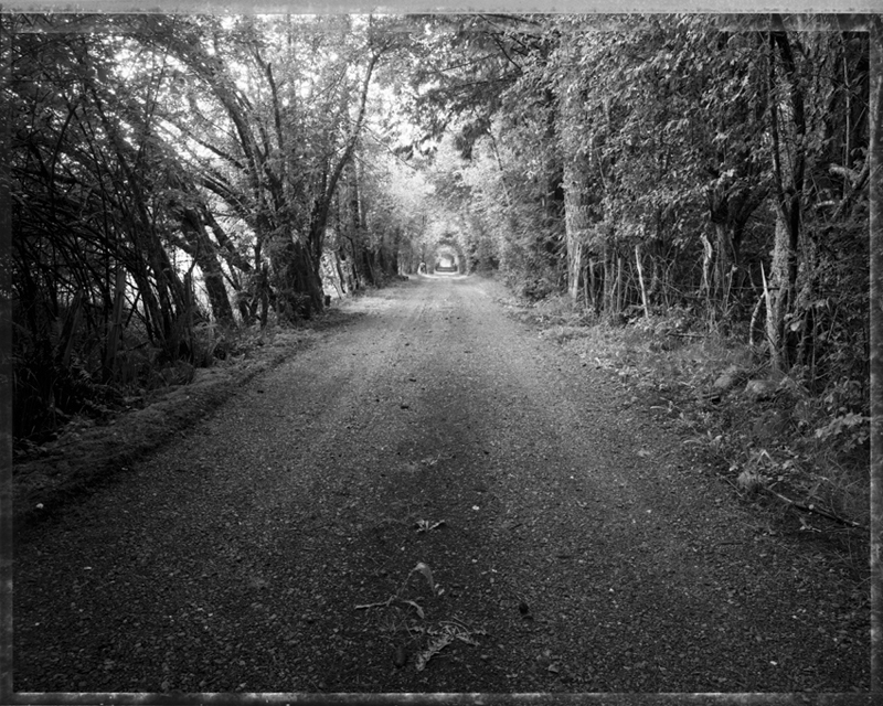 Phyllis's Drive