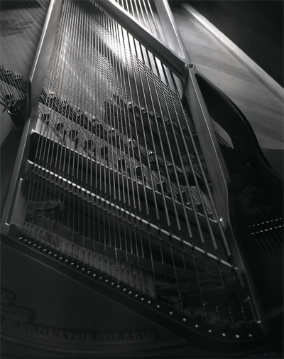 Piano inside
