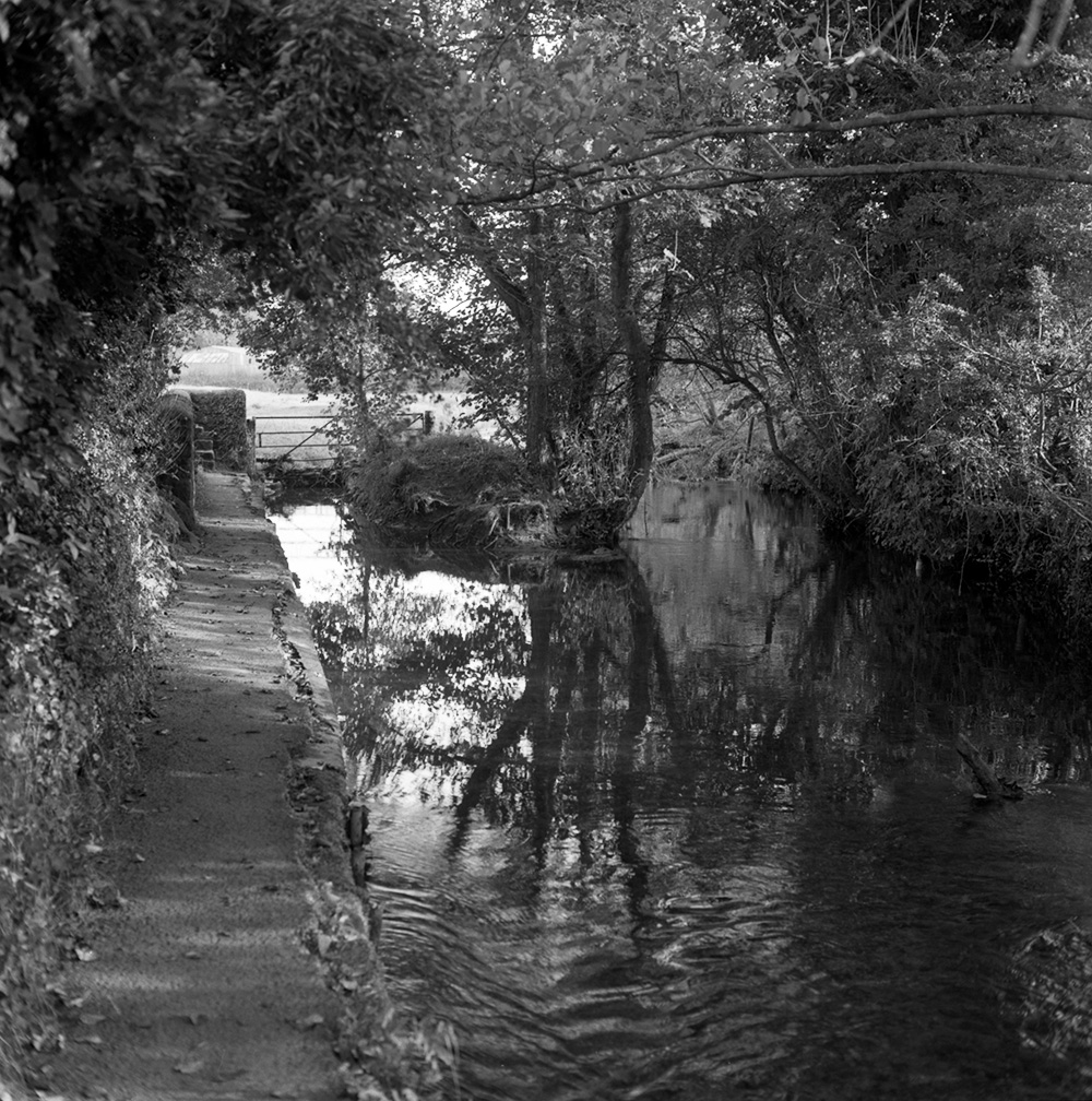 Pickering Beck