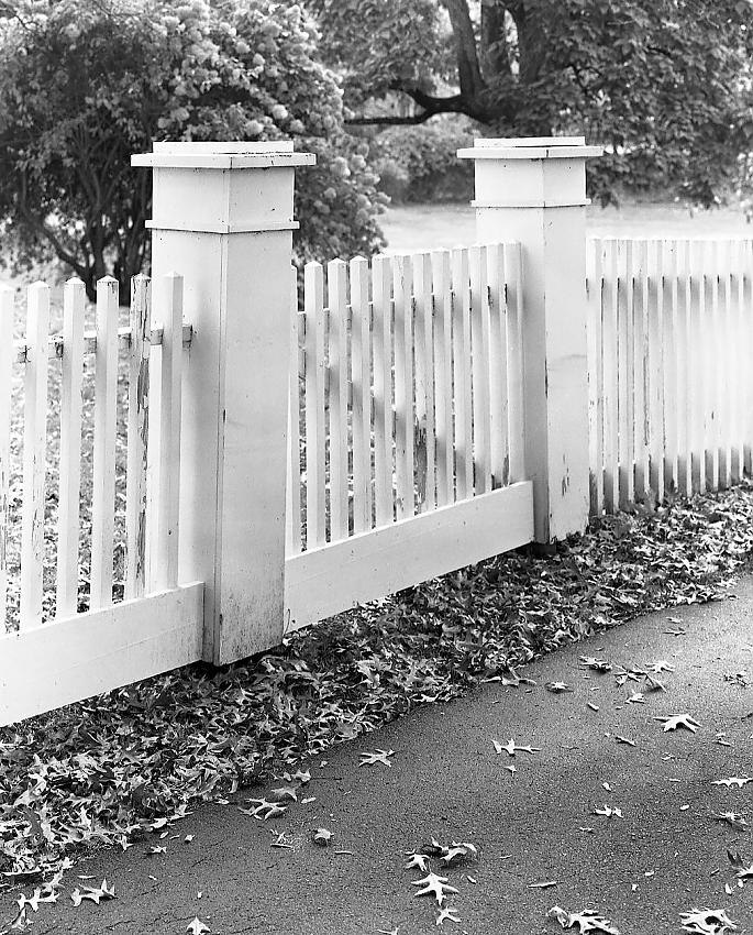 Picket Fence Gate