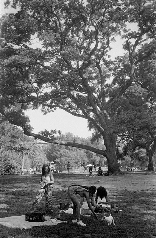 Picnic Ft. Greene park