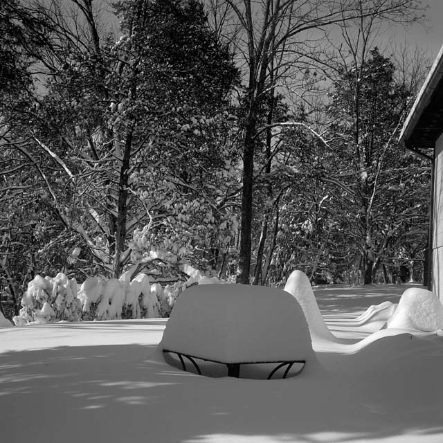 Picnic Postponed