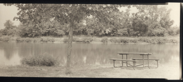 Picnic Table at Horseshoe Lake