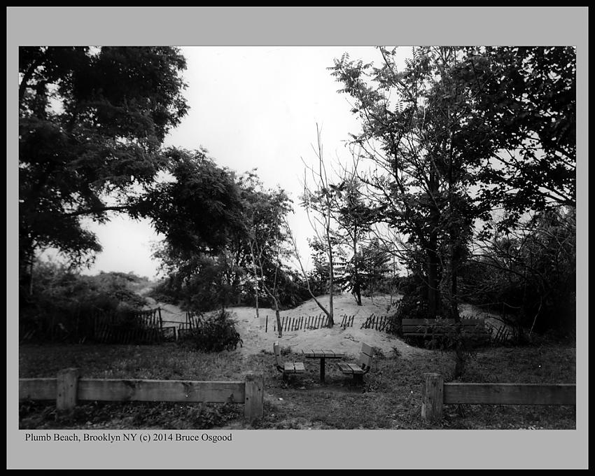 Picnic Table at Plumb Beach