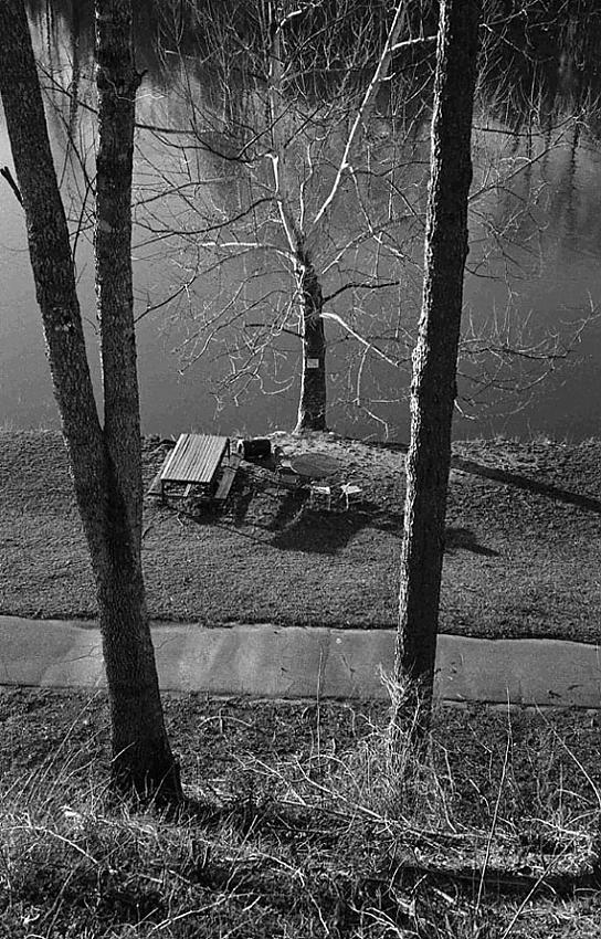 picnic