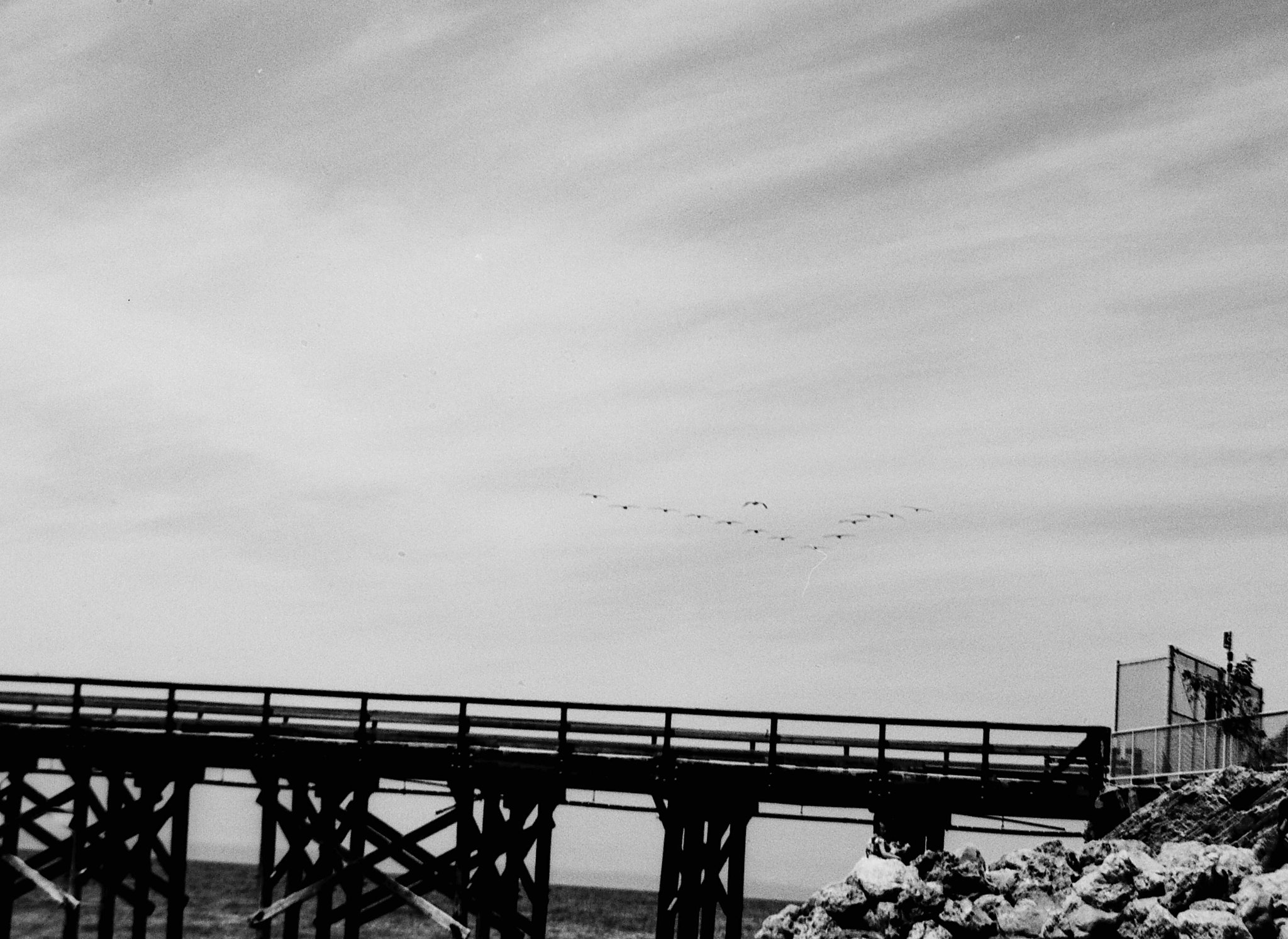 PICT0252-1