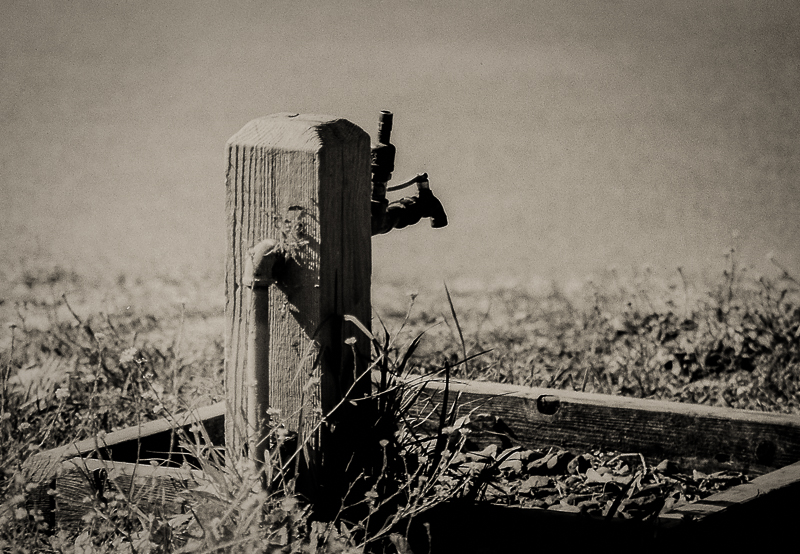 PICT0305-1