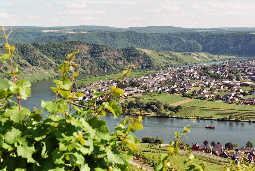 Piesport1