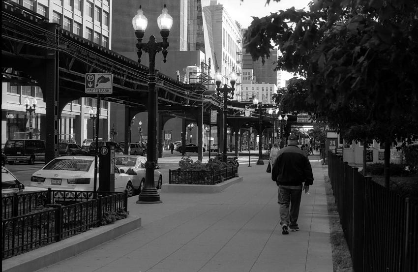 Pilgrimage to Central Camera