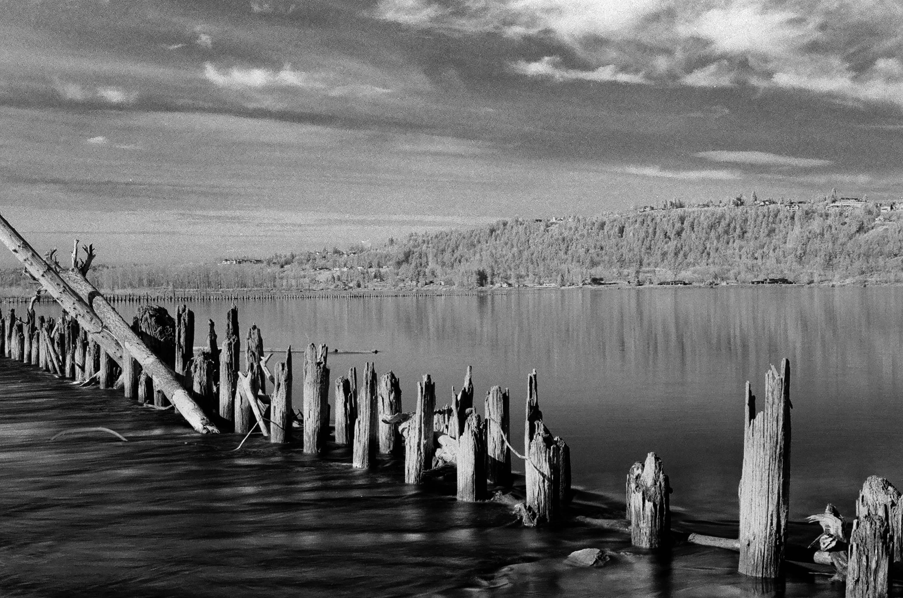 Pilings at Chinook Landing