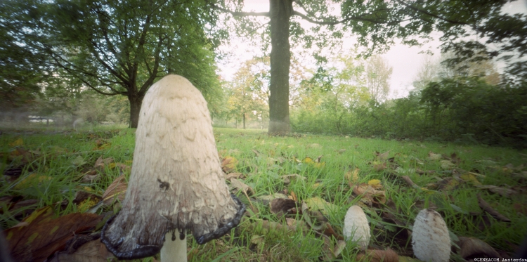 Pinhole-032